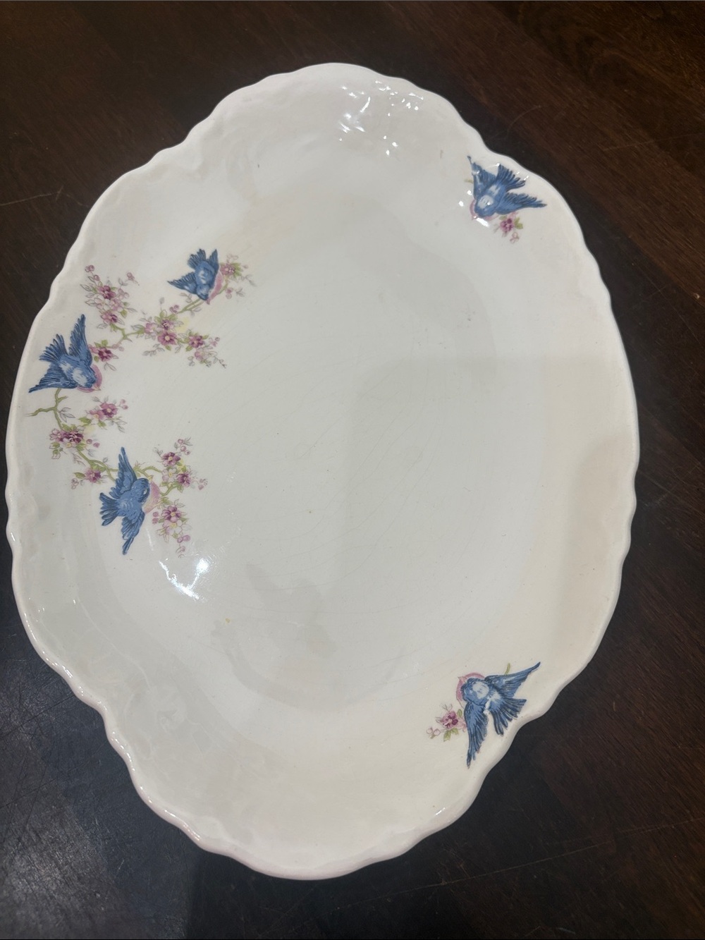 Vintage W.S. George Radisson Bluebird Oval Platter Made in USA